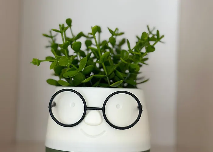 1bd Flat Near Maritsa River And Center דירה